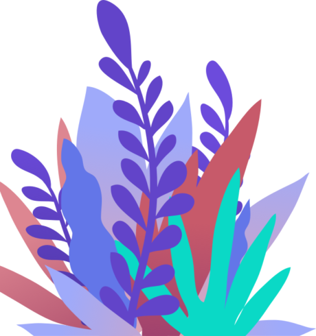 d08-flowers-img.png